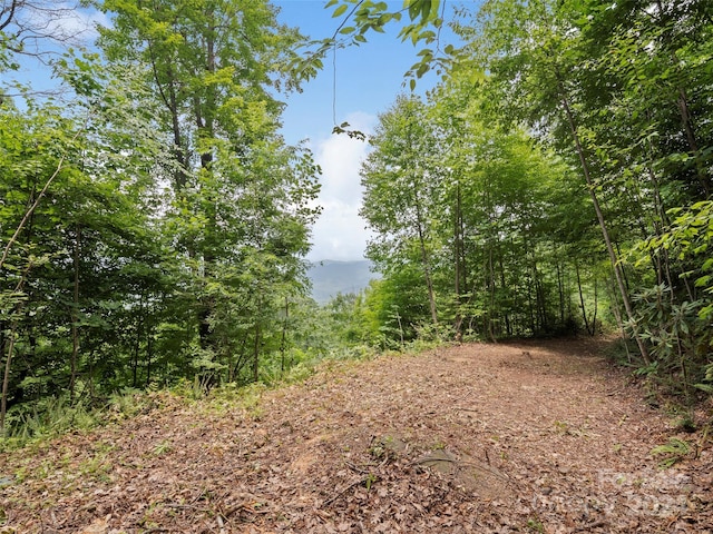 99 Settings Blvd # 3A-12, Black Mountain, NC 28711 - photo 9