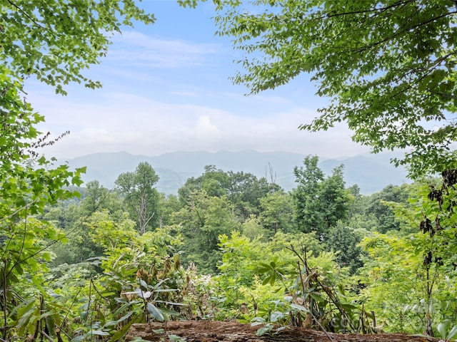 99 Settings Blvd # 3A-12, Black Mountain, NC 28711 - photo 10