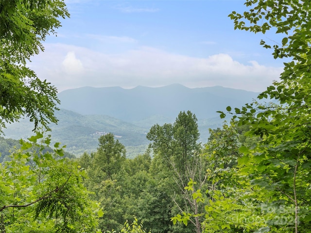 99 Settings Blvd # 3A-12, Black Mountain, NC 28711 - photo 11