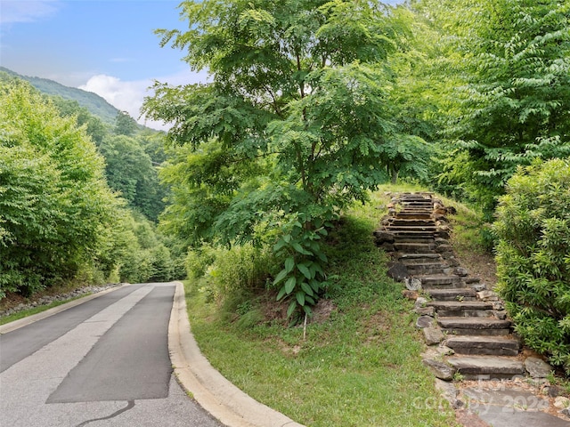 99 Settings Blvd # 3A-12, Black Mountain, NC 28711 - photo 12