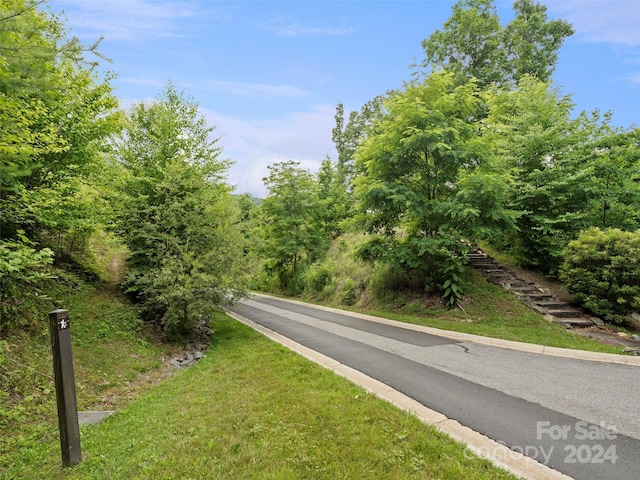99 Settings Blvd # 3A-12, Black Mountain, NC 28711 - photo 13