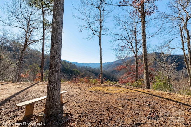 property view of mountains