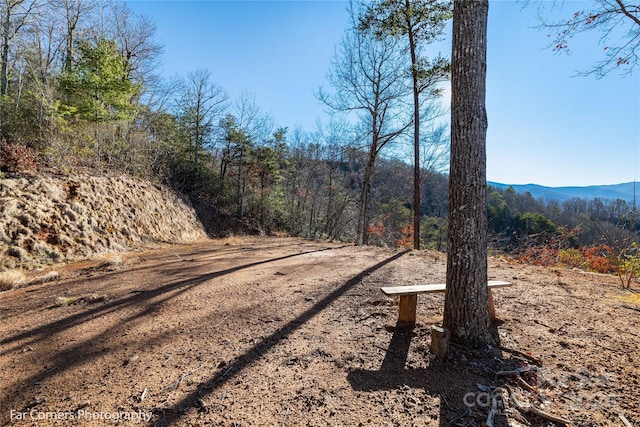 view of road featuring a mountain view