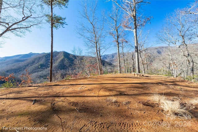 view of mountain feature