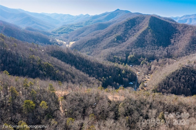 view of mountain feature