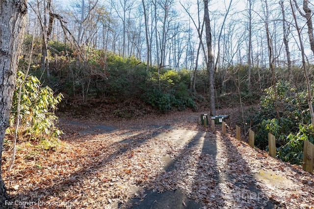 0000 Sourwood Rd, Canton, NC 28716 - view of road featuring a forest view