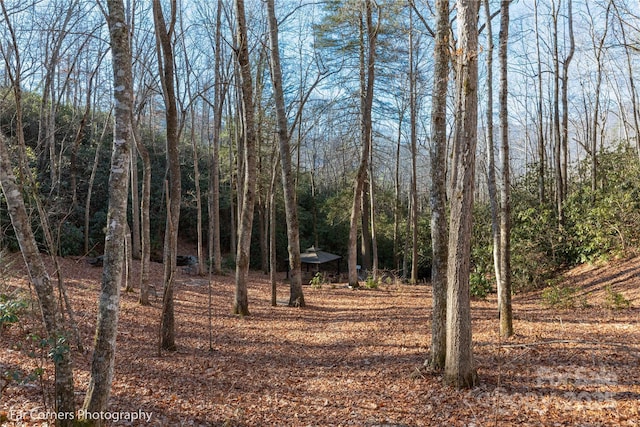 0000 Sourwood Rd, Canton, NC 28716 - view of woods