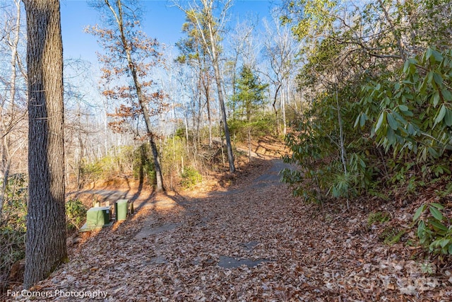 0000 Sourwood Rd, Canton, NC 28716 - view of road