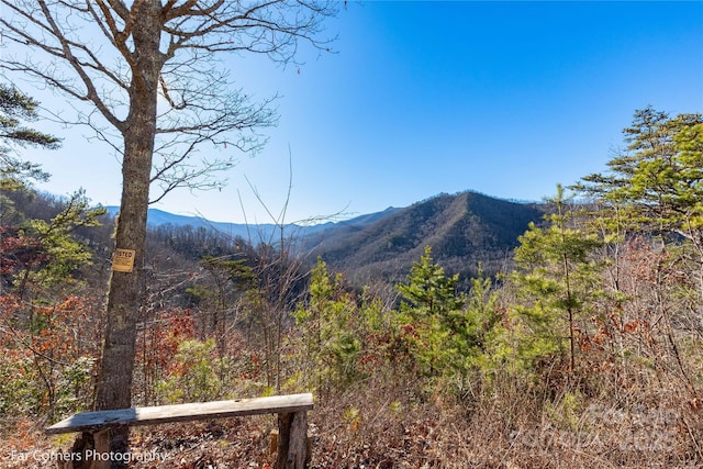 0000 Sourwood Rd, Canton, NC 28716 - view of mountain backdrop featuring a forest