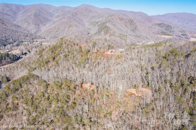 0000 Sourwood Rd, Canton, NC 28716 - view of mountain background featuring a forest