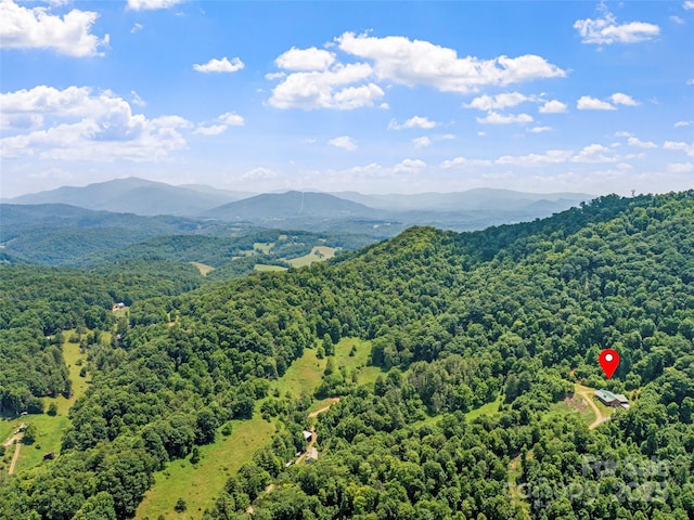 bird's eye view featuring a mountain view and a view of trees