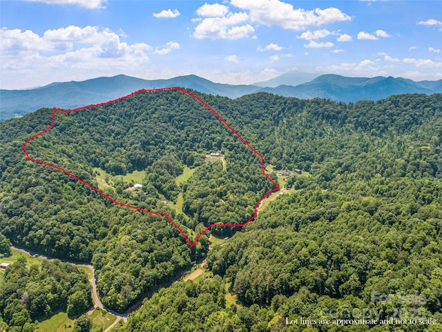 drone / aerial view featuring a mountain view and a forest view