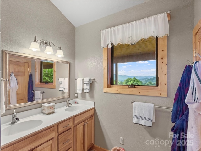 bathroom with double vanity, a sink, and a wealth of natural light