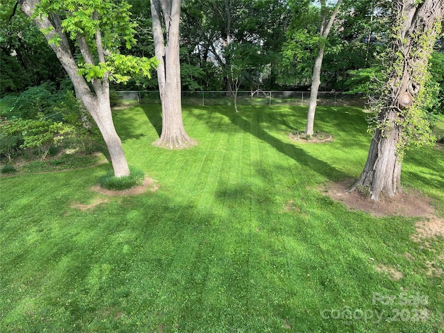 view of yard with a water view