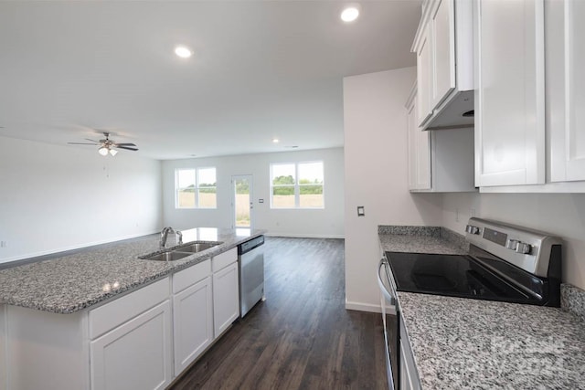 kitchen with white cabinets, sink, ceiling fan, appliances with stainless steel finishes, and dark hardwood / wood-style flooring