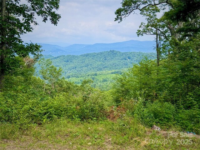 632 Justus Case Mountain Pl, Hendersonville, NC 28792 - photo 11