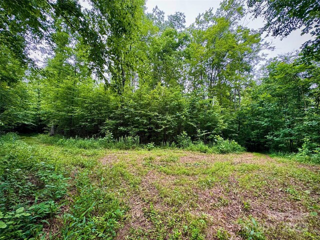 632 Justus Case Mountain Pl, Hendersonville, NC 28792 - photo 6