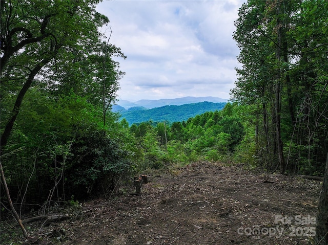 632 Justus Case Mountain Pl, Hendersonville, NC 28792 - photo 7