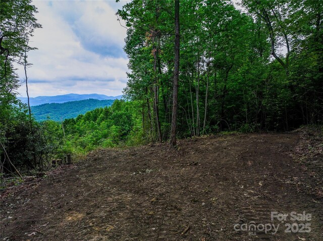632 Justus Case Mountain Pl, Hendersonville, NC 28792 - photo 8