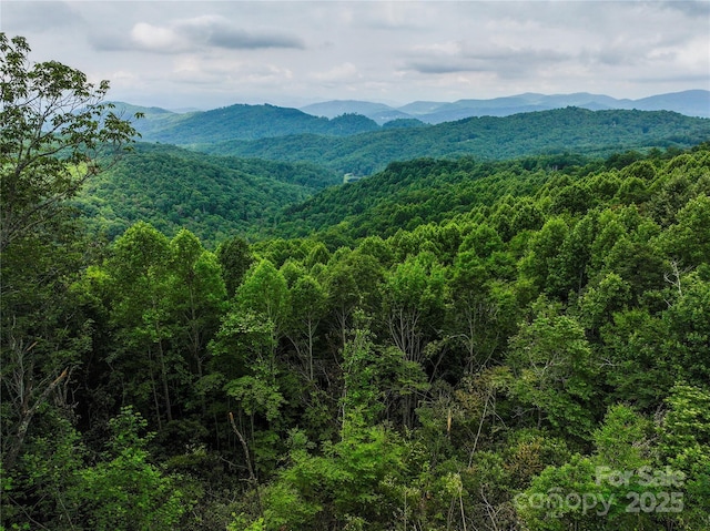 632 Justus Case Mountain Pl, Hendersonville, NC 28792 - photo 10