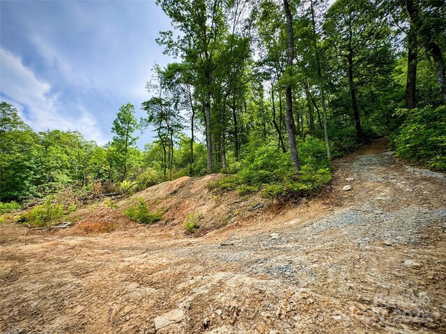 632 Justus Case Mountain Pl, Hendersonville, NC 28792 - photo 5