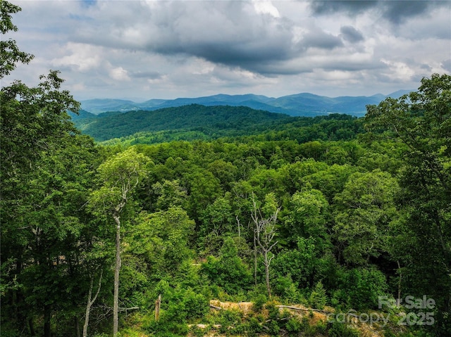 632 Justus Case Mountain Pl, Hendersonville, NC 28792 - photo 4