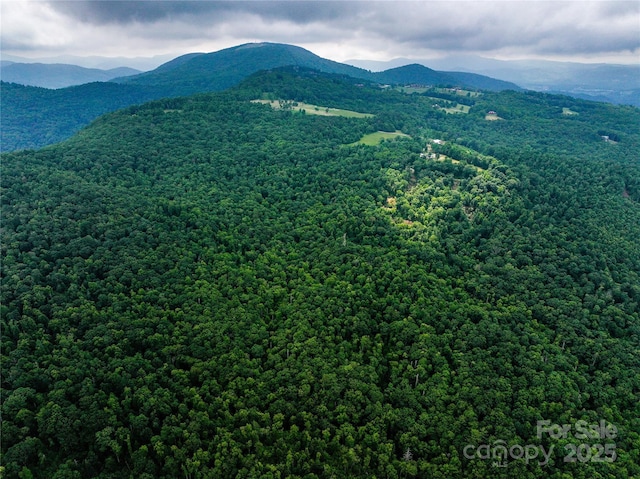 632 Justus Case Mountain Pl, Hendersonville, NC 28792 - photo 15