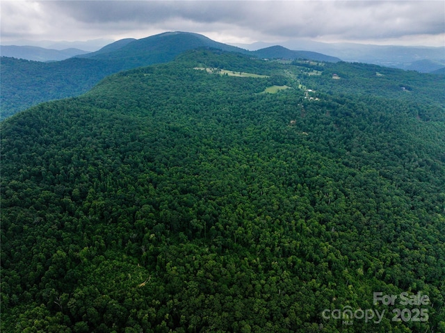 632 Justus Case Mountain Pl, Hendersonville, NC 28792 - photo 16