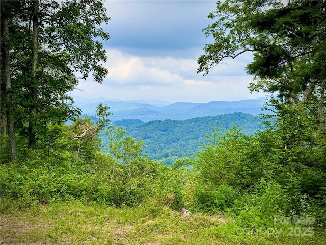 632 Justus Case Mountain Pl, Hendersonville, NC 28792 - photo 12