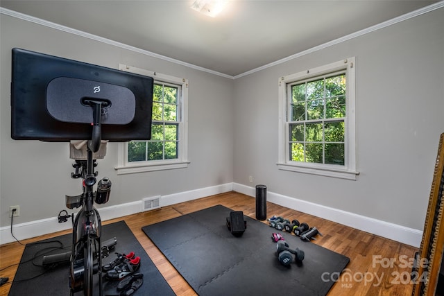 workout room with a healthy amount of sunlight, ornamental molding, and hardwood / wood-style floors