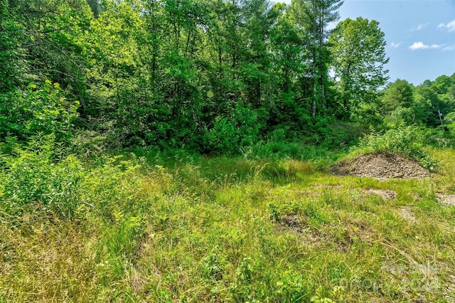 0000 Meadows Town Rd, Leicester NC, 28753 land for sale