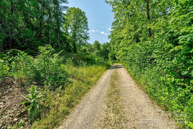 Listing photo 2 for 0000 Meadows Town Rd, Leicester NC 28753