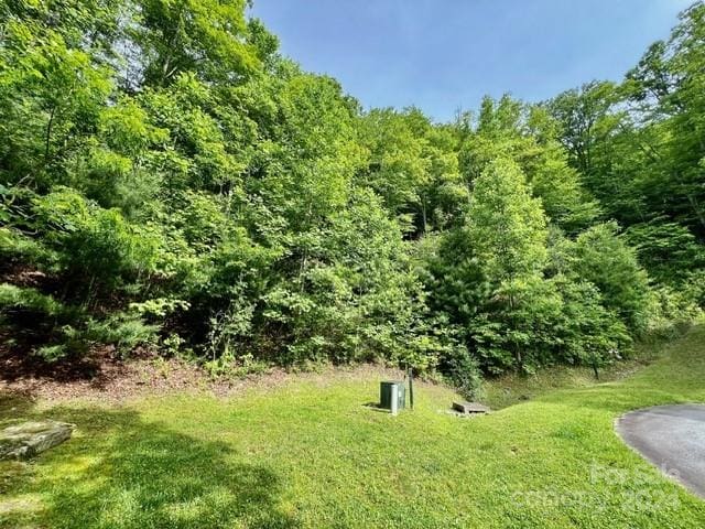 271 Mountain Morning Ln Unit 41, Hendersonville NC, 28739 land for sale