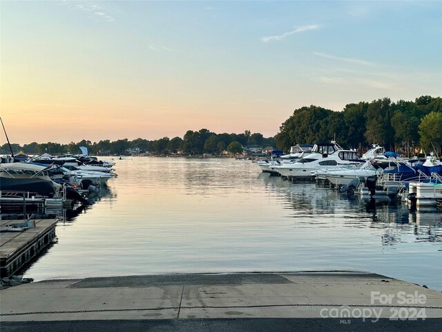 dock area with a water view