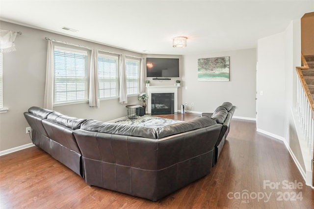 living room featuring wood-type flooring