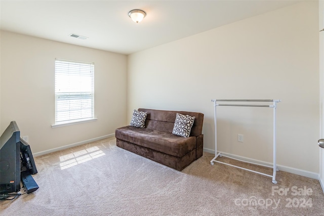 sitting room with light carpet