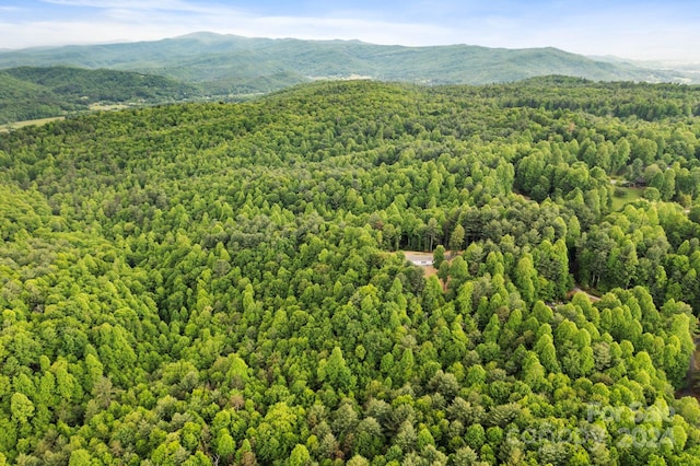 9999 Kira Ln Unit 3, Hendersonville NC, 28739 land for sale