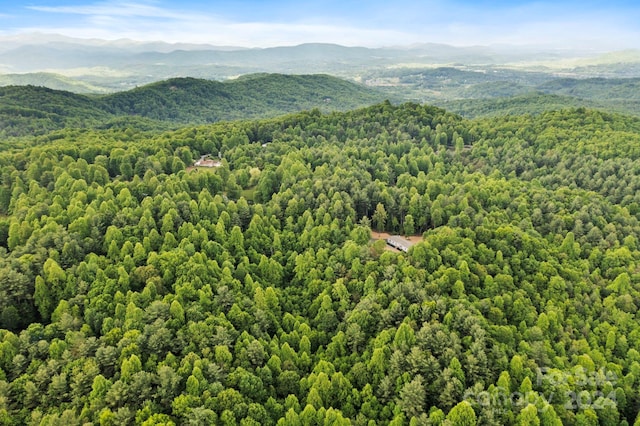 9999 Kira Ln Unit 4, Hendersonville NC, 28739 land for sale