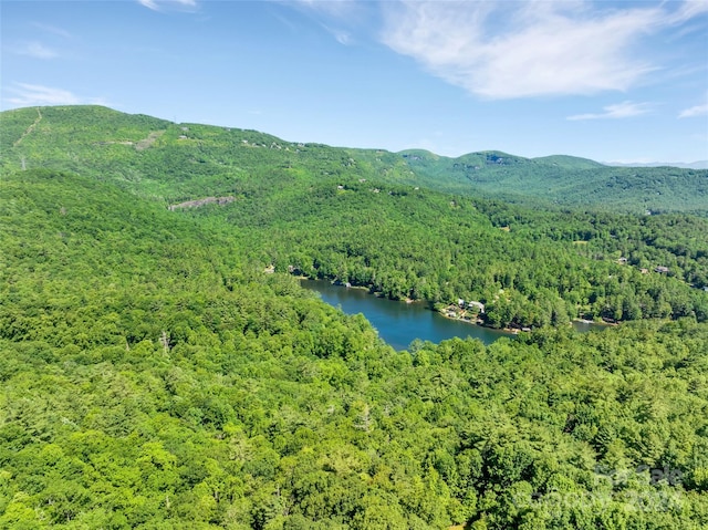 drone / aerial view with a water and mountain view