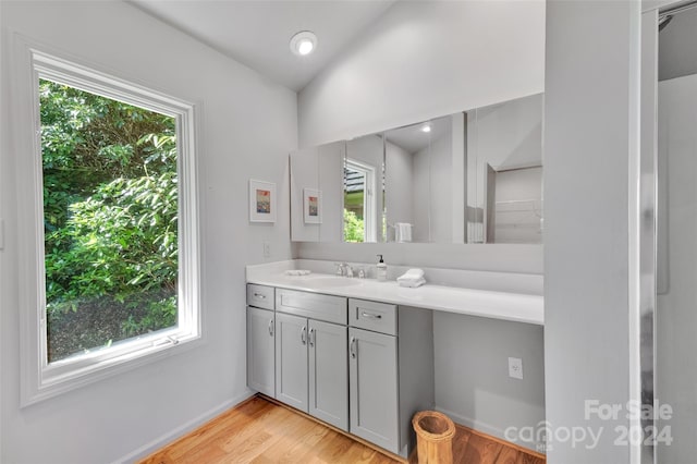 bathroom with plenty of natural light, wood-type flooring, and vanity