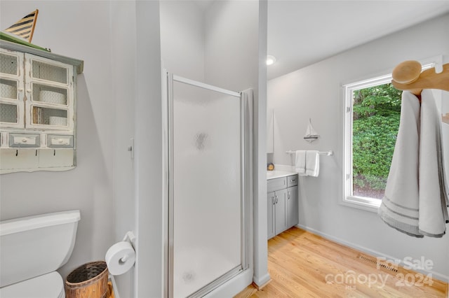 bathroom featuring hardwood / wood-style floors, vanity, plenty of natural light, and a shower with door