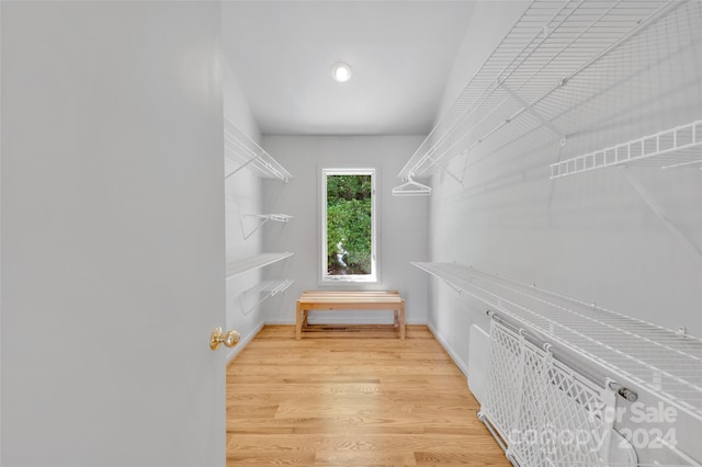 spacious closet featuring hardwood / wood-style flooring