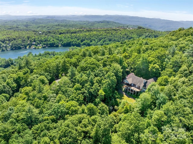 bird's eye view featuring a water and mountain view