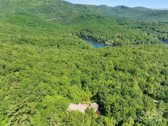 birds eye view of property with a water and mountain view