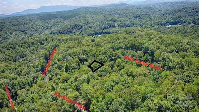 0000 Roadrunner Cir Unit 40, Lake Lure NC, 28746 land for sale