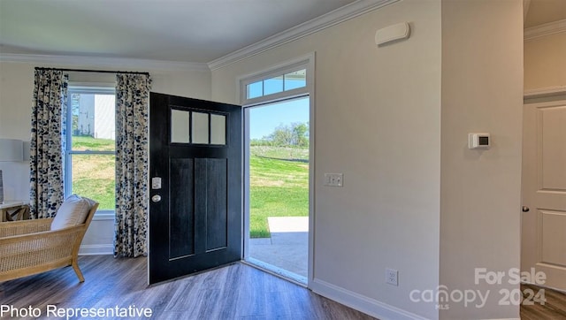 entryway with plenty of natural light, ornamental molding, and hardwood / wood-style flooring