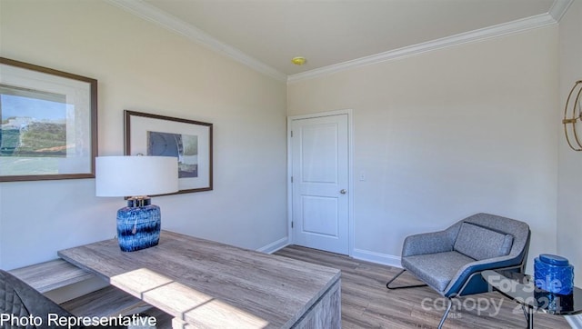 office featuring hardwood / wood-style flooring and crown molding