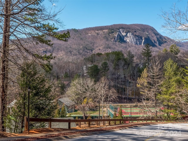 0 Quail Ridge Rd Unit 252, Lake Lure NC, 28746 land for sale