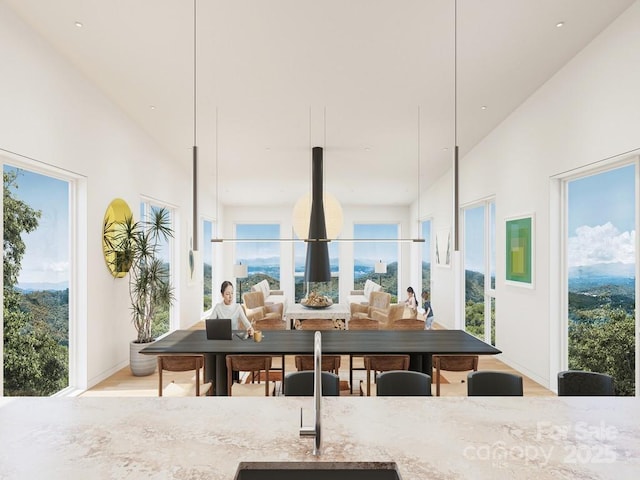 dining space featuring wood finished floors