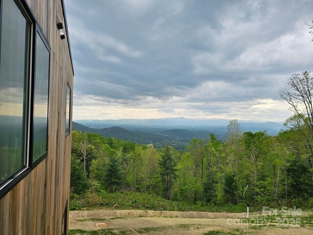 641 Elk Mountain Scenic Hwy, Asheville, NC 28804 - photo 6